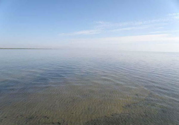 озеро кулундинское алтайский край рыбалка