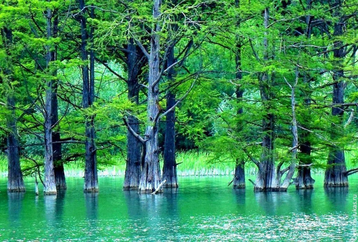 Озеро Кипарисовое