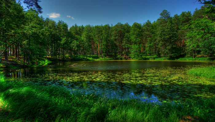 Озера Нижегородской области